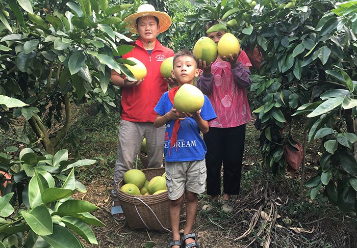 1639559352875562.jpg 黃星杰(左一)在幫助群眾銷售農(nóng)副產(chǎn)品.jpg