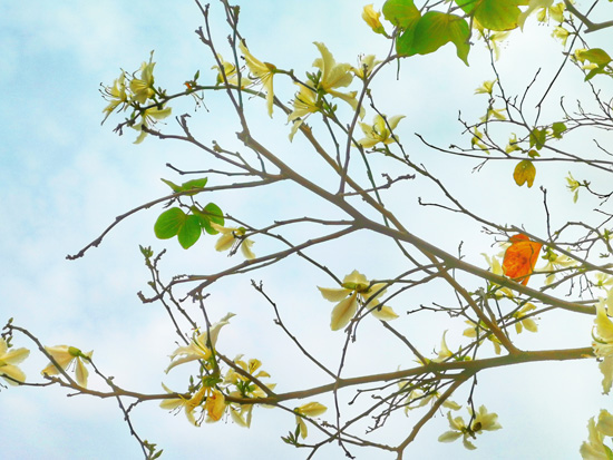 1647507115913875.jpg 11.jpg