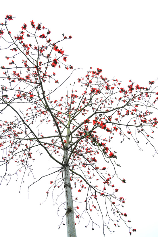 1647507131754537.jpg 22.jpg