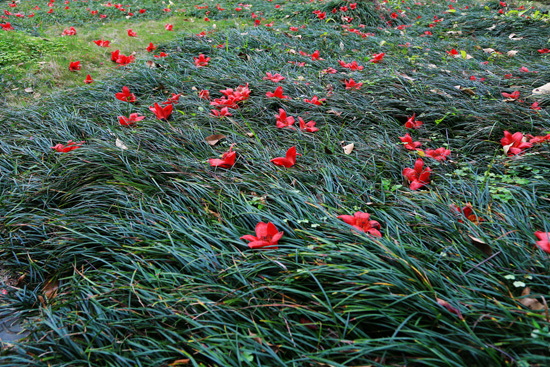 1647507146767185.jpg 33.jpg