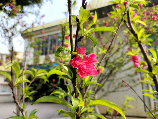 1647507169991884.jpg 55.jpg