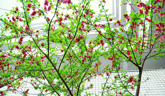 1647507210137871.jpg 44.jpg