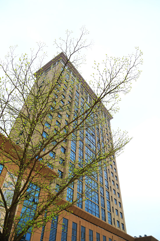 1647507224273694.jpg 66.jpg