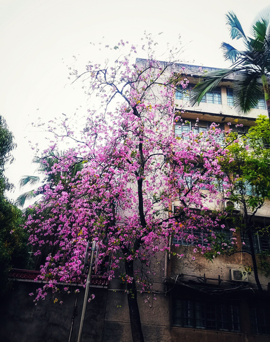 1647507253422200.jpg 80.jpg