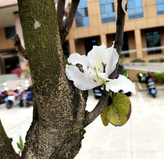 1647507273155131.jpg 88.jpg