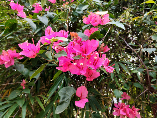 1647507312488465.jpg 111.jpg