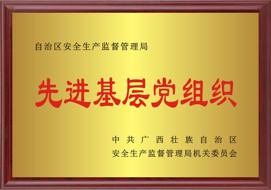 7 自治區(qū)安全生產(chǎn)監(jiān)督管理局先進(jìn)基層黨組織.jpg