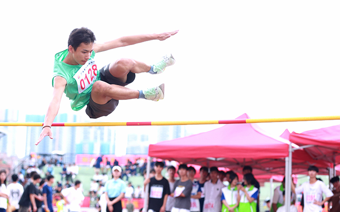 1699858324382577.jpg 6.jpg