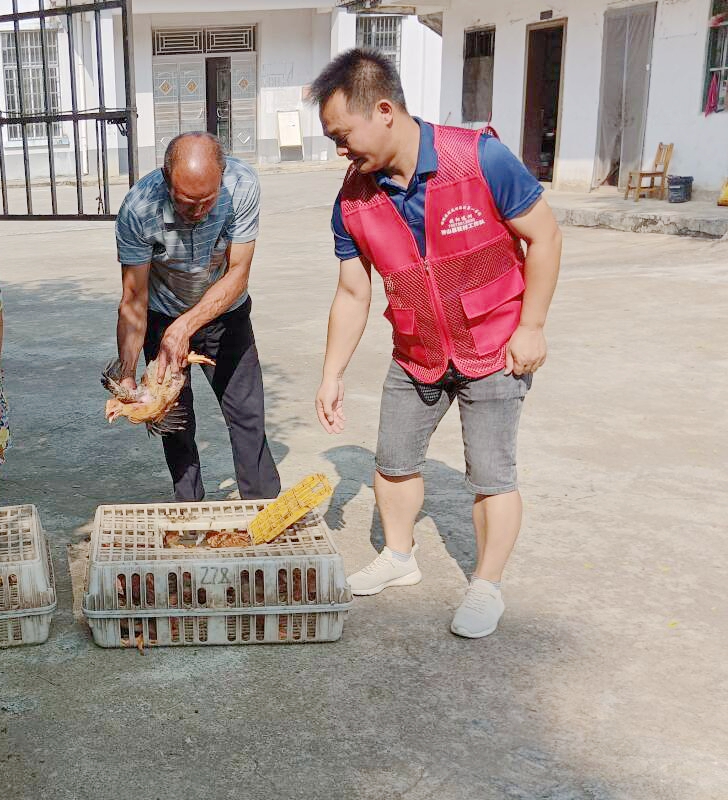 1725337245894559.jpg 1725337245894559.jpg