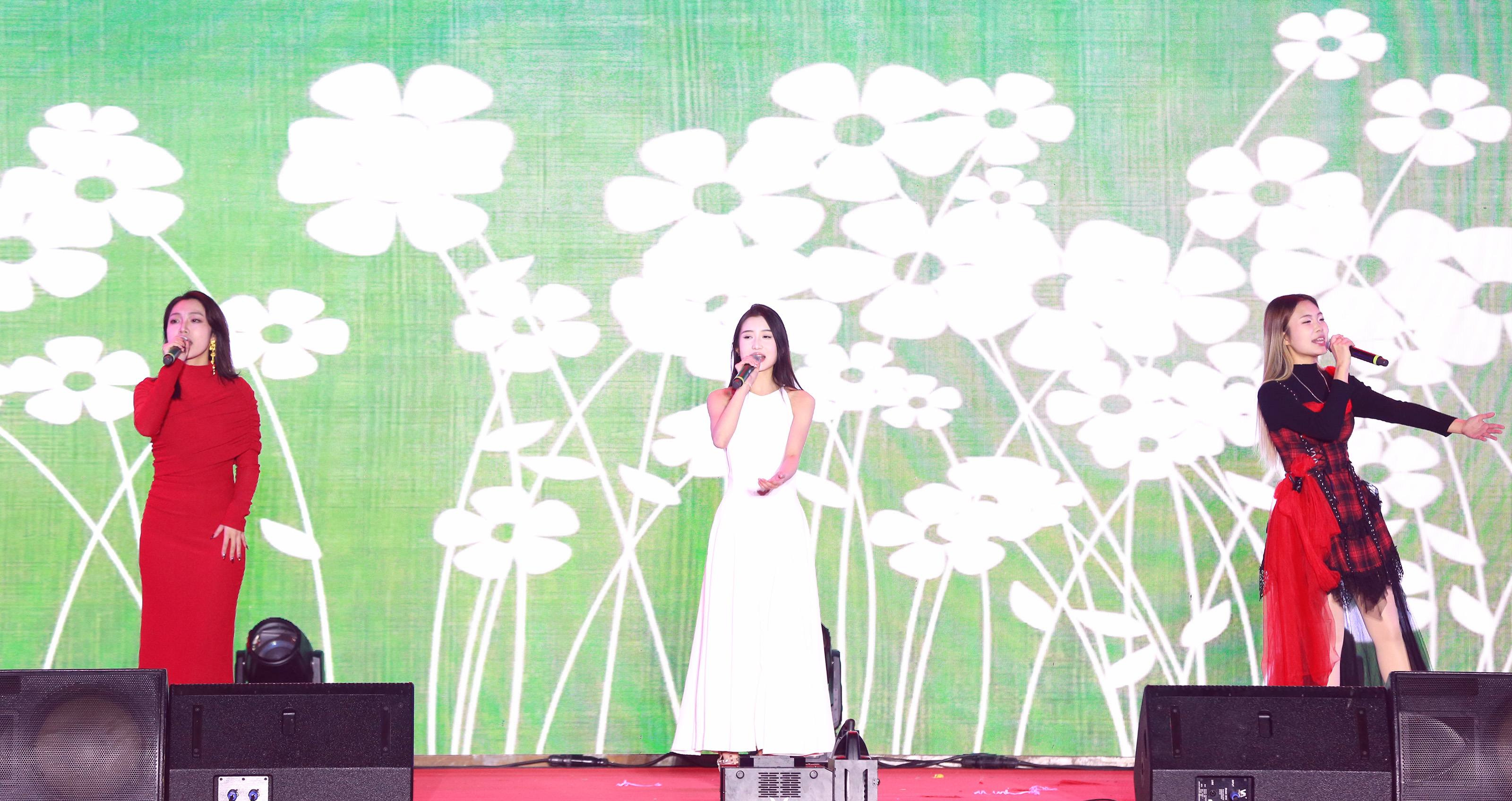 1735805347645753.jpg 1735805347645753.jpg